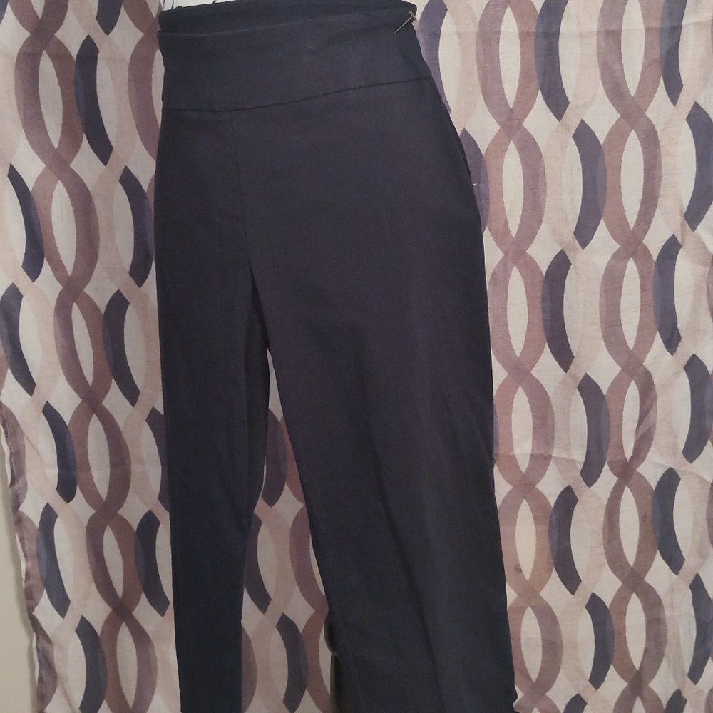 ATTYRE New York Capri Pants